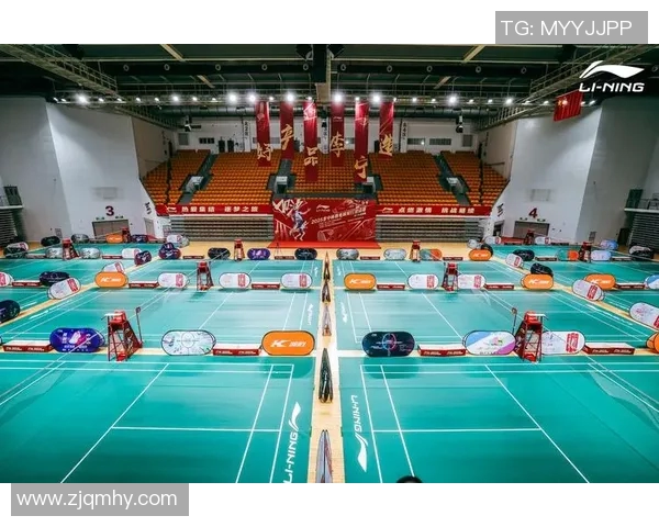 羽毛球赛事场馆环境对运动员表现的影响及其优化策略研究